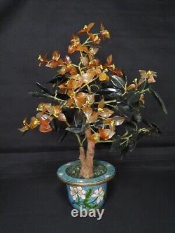 Antique Chinese Jade & Carnelian Bonsai Tree in cloisonné Pot