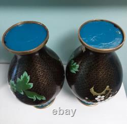 Antique chinese late 19th century quality cloisonné cherry blossom vases