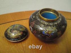 Chinese cloisonne 5 claws dragon Lao Tian Li style scholar pot inkwell / washer