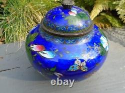 Japanese Cloisonne pot with lid beautiful colours just amazing