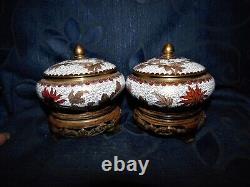 Pair Small Cloisonne Lidded Pots On Wooden Bases White Ground Rust Flowers