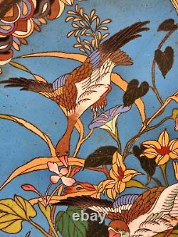 VGC ANTIQUE JAPANESE MEIJI Cloisonne BIRDS/FLOWERS 14.25 CHARGER/PLATE A