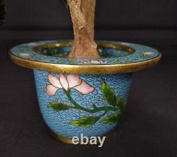 Arbre Bonsaï chinois ancien en jade et cornaline dans un pot en cloisonné.
