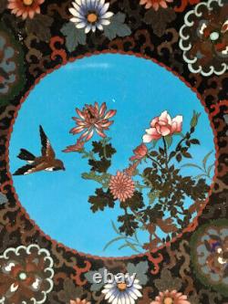 Belle assiette/plateau en cloisonné japonais de l'époque Meiji avec oiseau et fleurs