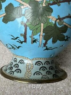 Grand vase cloisonné de l'ère Meiji japonaise 37x20cm