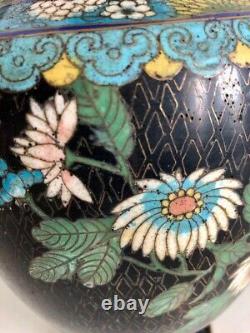 Paire de vases en émail cloisonné de l'époque Qing chinoise, avec des dragons et des fleurs, 32cm