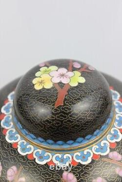 Pot à fleurs / papillons impériaux en cuivre cloisonné chinois du XIXe siècle, 18x16cm